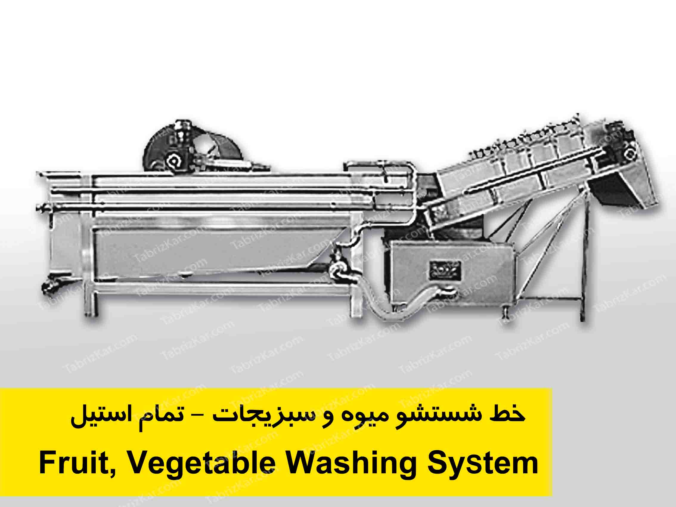 خط تمام اتومات شستشو میوه و سبزیجات